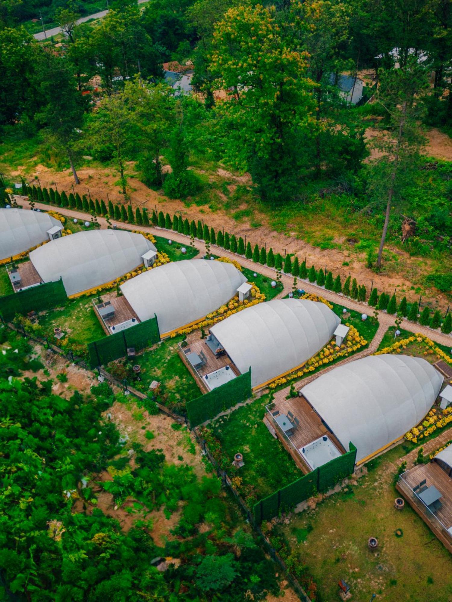 Snail House Sapanca Bed & Breakfast Bagian luar foto